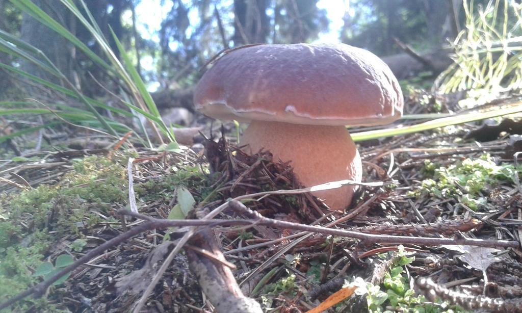 Wiejska Chata Szwalk Exterior foto